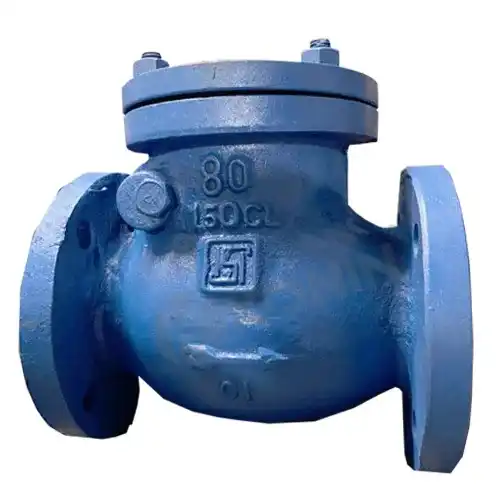 Check Valves