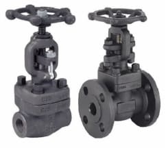 Forged Globe Valves